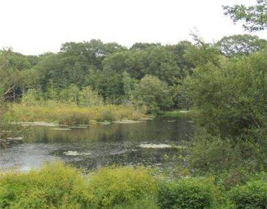 76 Todd Pond Rd, Lincoln, MA 01773 - photo 7