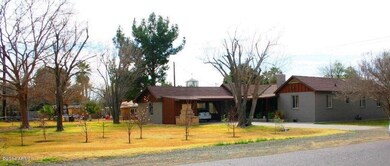 Rear Irrigated yard with fruit trees