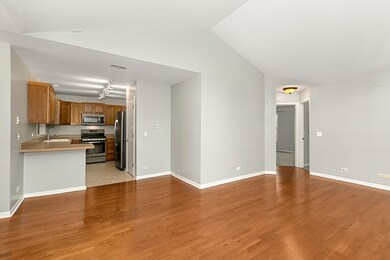 1267 Rhodes Ln unit 1307, Naperville, IL 60540 - photo 3