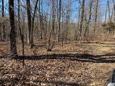 20240 Big Spring Rd, Winslow, AR 72959 - photo 3