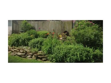Yard/Garden. The summer garden is lush and beautif
