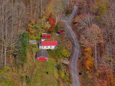 131 Big Bear Run Rd, Smithfield, WV 26437 - photo 3