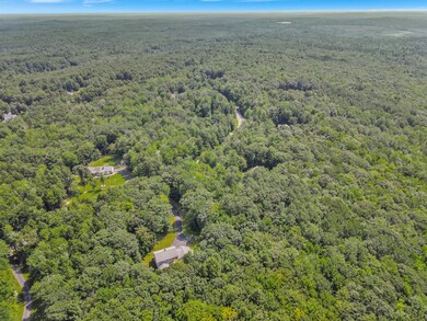 13_DJI_0850_DxO_mls