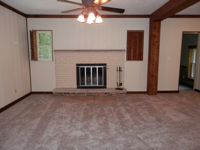 Wood burning Fire place
