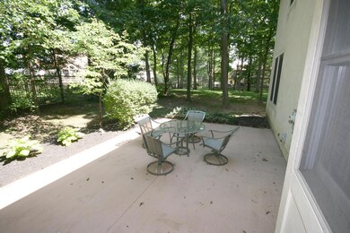 patio and yard