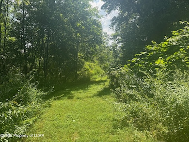 138 S Keyser Ave, Scranton, PA 18504 - photo 6