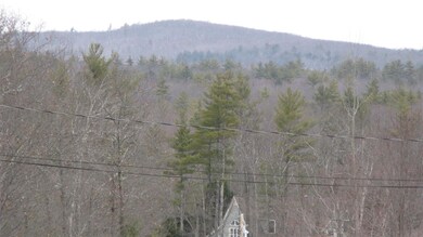 48 Chamberlin Way, New Durham, NH 03855 - photo 6