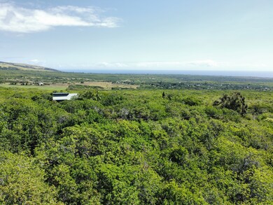 51 Palaoa Rd, Discovery Harbor, HI 96772 - photo 5