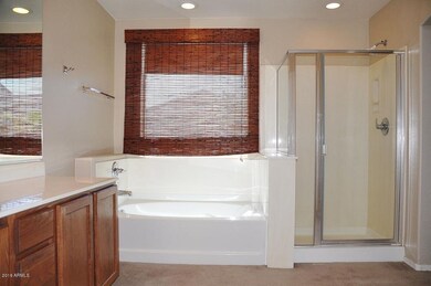 18201 E El Viejo Desierto, Gold Canyon, AZ 85118 - photo 3