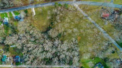 323 N Jenkins Rd, Fairview, GA 30741 - photo 5