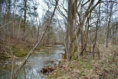 9626 Bohon Rd, Harrodsburg, KY 40330 - photo 4