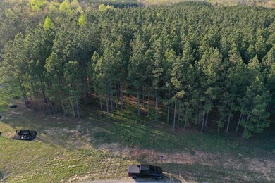 0 River Bluffs Jh 193 Dr unit 1334343, Jasper, TN 37347 - photo 2