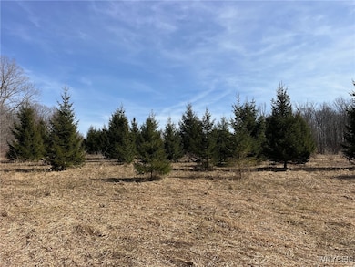 1292 Halls Corners Rd, Attica, NY 14011 - photo 6