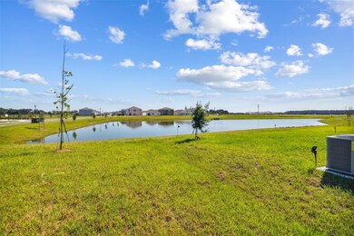 2774 Common Fig Run, Wesley Chapel, FL 33543 - photo 7