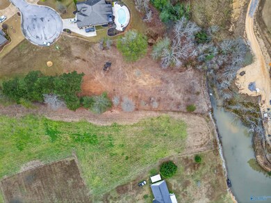 Lot 34 Laura Ln, Southside, AL 35907 - photo 4