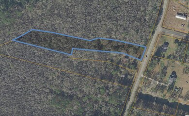 1983 Highway 66, Conway, SC 29526 - photo 3