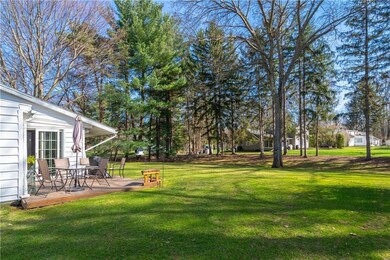 Gorgeous one acre yard!