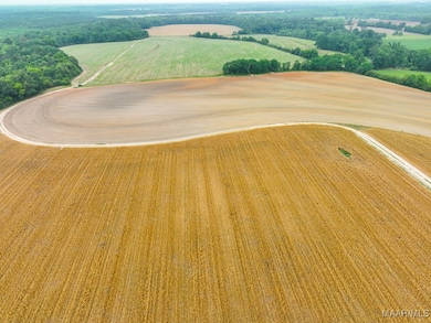 2833 Omussee Rd, Dothan, AL 36303 - photo 4