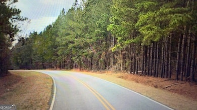 LOT 8-9 Rocky Springs Rd, Eastman, GA 31023 - photo 4
