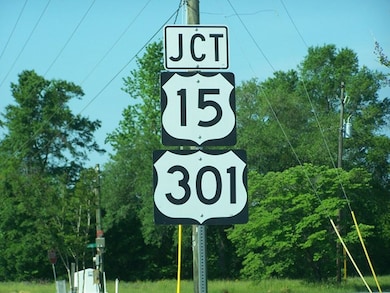 00 Highway 15 and 301, Santee, SC 29142 - photo 3