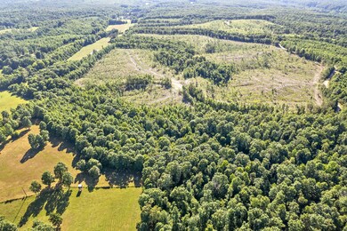 338 Largent Hollow Rd unit 380, Tennessee Ridge, TN 37178 - photo 7