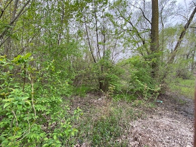 8606 S 84th Ave, Oak Lawn, IL 60457 - photo 7