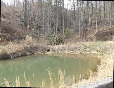 304 Honeymoon Lot 69 Hollow, Butler, TN 37640 - photo 3