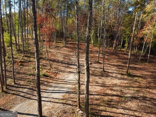 2171 Hollywood Hwy, Clarkesville, GA 30523 - photo 3