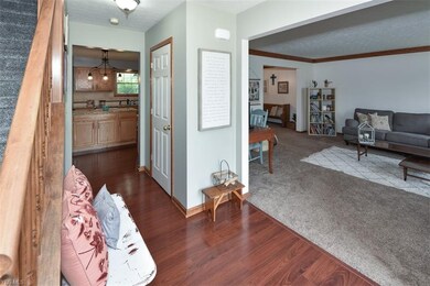 8482 Forest View Dr, Olmsted Falls, OH 44138 - photo 4