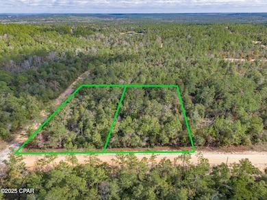 0000 Alene Dr, Alford, FL 32420 - photo 2