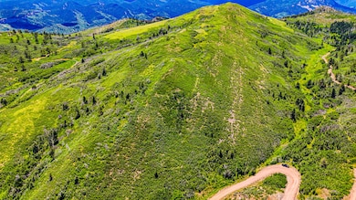 dji_fly_20250704_121234_0570_17516532604