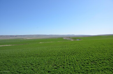 New. Alfalfa