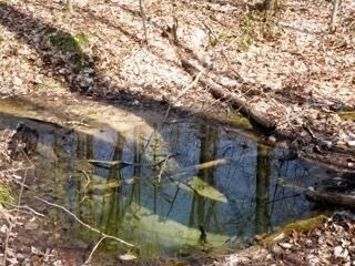 Flowing spring