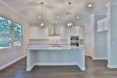 3626 W Clark Cir, Tampa, FL 33629 - photo 4