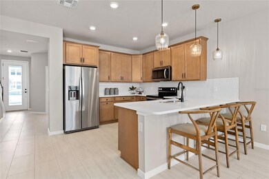 4608 Orchard View Aly, Clermont, FL 34714 - photo 7