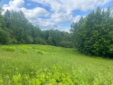 360 City Farm Rd, Newport, VT 05855 - photo 2