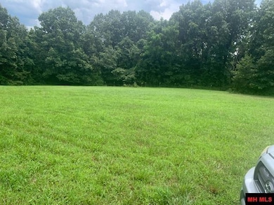 001-04806-002 Colonial Ln, Yellville, AR 72687 - photo 2