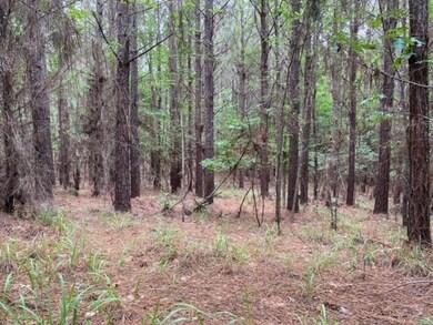 TBA County Road 435, Oxford, MS 38655 - photo 5