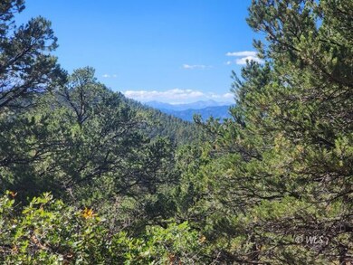 View from back of property