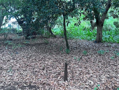 0000 NW 7th Ct, Boynton Beach, FL 33426 - photo 4