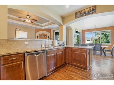 5925 Quarry St, Timnath, CO 80547 - photo 5