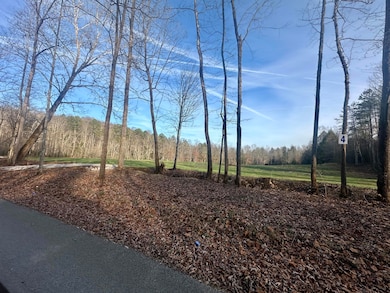 Lot 4 Radford Rd, East Bernstadt, KY 40729 - photo 6