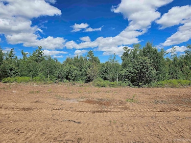 TBD N Greenwood - 3 Dr, Ishpeming, MI 49849 - photo 3