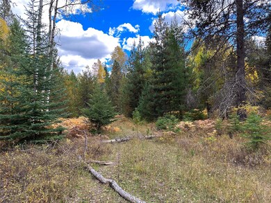 Nhn Klister Ln, Trout Creek, MT 59874 - photo 4