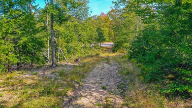 87 dyke mountain road-53
