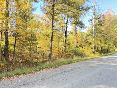 0 E Tyler Rd unit 25049107, Twin Lake, MI 49457 - photo 4