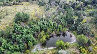 693 County Road 233, Tyler, TX 75705 - photo 4