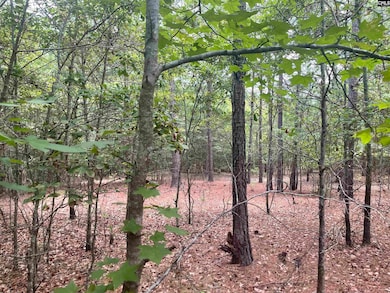 921 Jackson Rd, Ridgeway, SC 29130 - photo 7