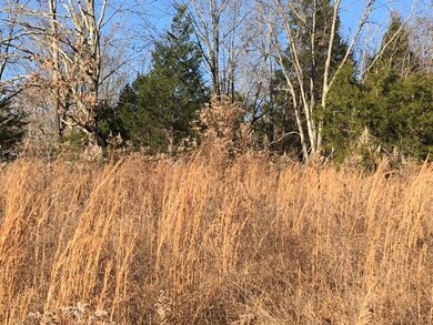 IMG_3420