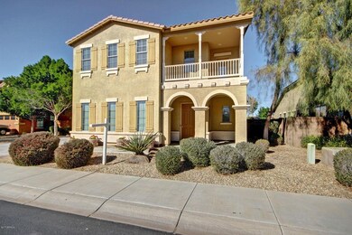 Cocopah (4)